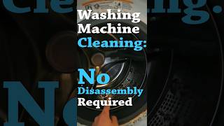 Cleaning Washing Machine with No Disassembly Needed [upl. by Lesirg]