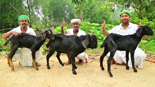 30 KG Mutton Curry Recipe  Mutton curry recipe cooking for village poor people  Helping kitchen [upl. by Noelani]