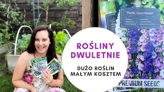 Rośliny dwuletnie Byliny Jak mieć dużo pięknych roślin małym kosztem Wysiew roślin dwuletnich [upl. by Kaleena262]