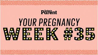 Your pregnancy 35 weeks [upl. by Wendell]