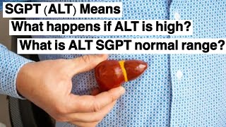 SGPT ALT Means  What happens if ALT is high  What is ALT SGPT normal range  SGPT ALT Liver enzyme [upl. by Healey]