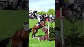 edit horse equestrianshow horseenthusiast equestrian shorts eventing crosscountry [upl. by Llirrem]