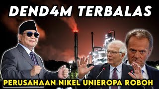 VIRAL‼ UNIEROPA KETAR  KETIR INDONESIA KUASAI PASOKAN NIKEL DUNIA  Fakta Menarik [upl. by Ahtelat816]