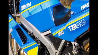 Pure Twostroke Power Sound Yamaha TZR 250 K2Tec Zweitakt Sound [upl. by Ricardama]