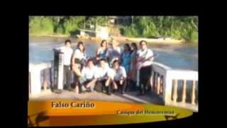 Falso Cariño [upl. by Lamee]