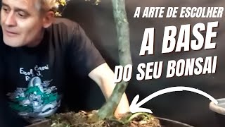 Encontrando o Material Ideal para Bonsai [upl. by Yraillih761]