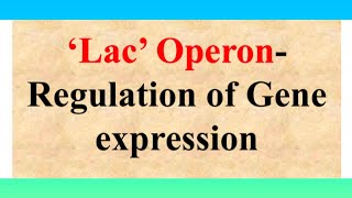 lac Operon viral motivation shorts ncert neet  regulation of gene expression in prokaryotes [upl. by Mcginnis369]