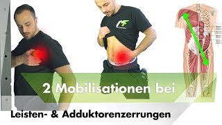 Die 2 besten Mobilisationen bei Leistenproblemen amp Adduktorenzerrungen [upl. by Nnagrom]