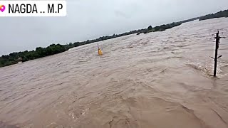 Chambal River Nagda 16092023  Chambal Nadi Nagda Nazara  चम्बल नदी नागदा river chambalriver [upl. by Sicnarf]