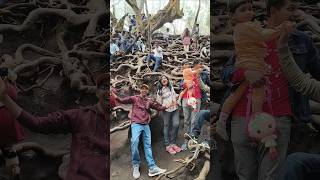 Nellore guys in Guna cavesnellore funny trip enjoy kodaikanal guna travel pleasesubscribe [upl. by Dygall385]