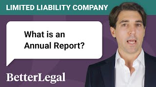 What is Annual Report for a Limited Liability Company [upl. by Yancy]