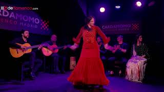 Paula Rodríguez en Cardamomo Flamenco Madrid [upl. by Fitzsimmons720]