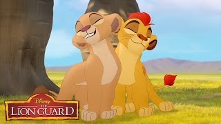 The Lion Guard quotHakuna Matataquot Song From The Lion King 🎶  disneyjr [upl. by Elocin266]