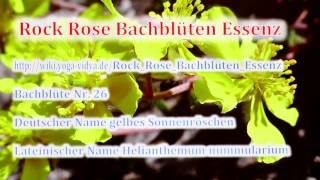 Rock Rose Bachblüten Essenz [upl. by Killigrew439]