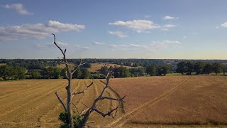 Pour une agriculture résiliente s’adapter face au changement climatique  Bande annonce [upl. by Ennaer513]