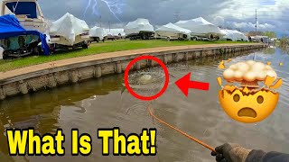 Ultimate Biggest JACKPOT Snagged While Magnet Fishing [upl. by Nevai]