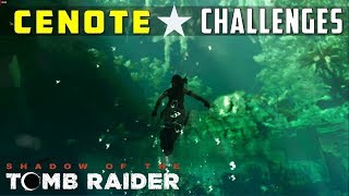 All Challenges in Cenote Sunken Treasure amp Respected – SHADOW OF THE TOMB RAIDER [upl. by Eillom407]