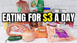 Eating for 3 a Day Cheap and Healthy Meal Ideas You Need to Try [upl. by Busby220]