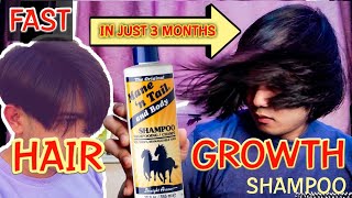 Fast hair growth shampoo mane and tail  hair grower  shampoo ng kabayo mabilis pampahaba ng buhok [upl. by Anohr]