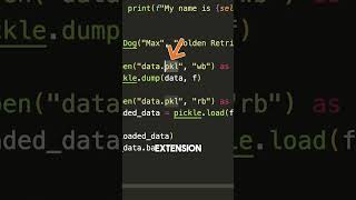 Python Functions The Pickle Function [upl. by Eirahs690]