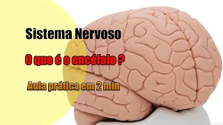 Encéfalo e suas principais estruturas 4K  Neuroanatomia  Anatomia [upl. by Eldora786]