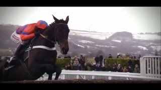 Sprinter Sacre 2016 Cheltenham Champion Chase Feature [upl. by Tolkan]