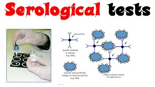 Serological tests [upl. by Fidelia]