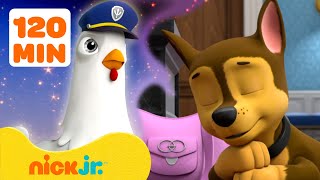 PAW Patrol Pups Have Weird Dreams 2 w Chase amp Chickaletta  2 Hours  Nick Jr [upl. by Roque]