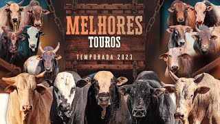 OS 15 MELHORES TOUROS DO BRASIL  TEMPORADA 2023 [upl. by Flin]