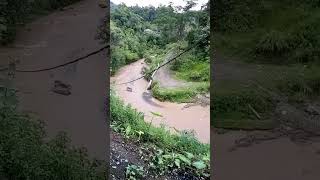 sungai nya deras dan kotor nature [upl. by Engud808]