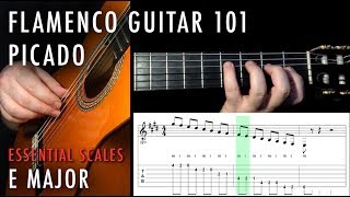 Flamenco Guitar 101  11  Picado E Major [upl. by Anoek]