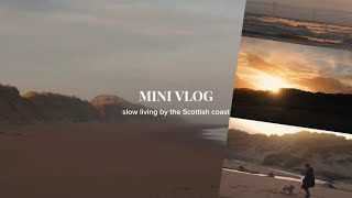 Slow Living By The Scottish Coast  A Peaceful Beach Walk With Brochan slowliving minivlogs [upl. by Sieracki]