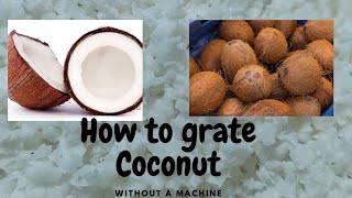 How to grate whole Coconut using Food Processor  Easy and Quick [upl. by Oreves733]