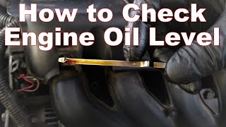 How to Check Your Oil Level amp Read Your Dipstick [upl. by Jesus524]