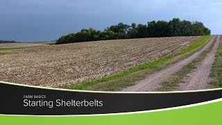 Starting Shelterbelts [upl. by Zenger]