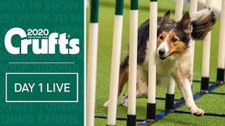 Day 1 Live  Crufts 2020 [upl. by Novyad]