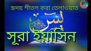 সূরা ইয়াসিন ও আর রহমান অর্থসহ। Surah yasin and Ar Rahman with bangla translationQari Shakir Qashmi [upl. by Htezzil15]