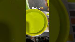 Dulux Promise 7773 Lemon Souffle paints dulux colourcombination viralvideo viralreels apt [upl. by Slaohcin197]