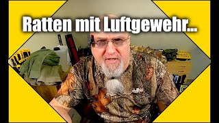 Luftgewehr Ratten im eigenen Garten erlegen [upl. by Kimble682]