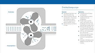 Drehkolbenpumpe [upl. by Lasser]