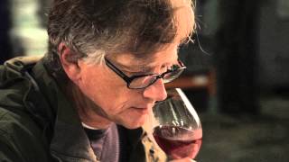 The Quintessential Oregon Pinot Noir Experience [upl. by Hansiain]