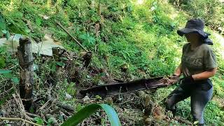 Working On My Rural Colombian Homestead Living in the Mountains [upl. by Erickson331]