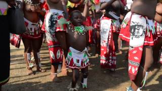 Umhlanga The Reed Dance in Swaziland [upl. by Andromede]