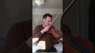 Budget violin strings ‘Johnny Cope’ [upl. by Atteve349]