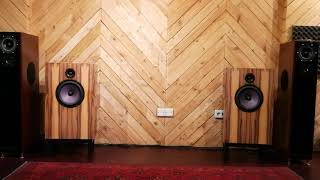 DeVore Fidelity O96 demo loudspeakers [upl. by Waverly]