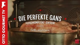 Gänsebraten perfekt zubereiten [upl. by Kassel667]