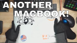 Why does A1398 Retina Macbook Pro have no backlight [upl. by Rabah]