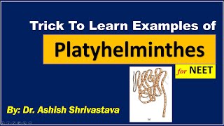 EXAMPLES OF PLATYHELMINTHES  NEET [upl. by Blum]