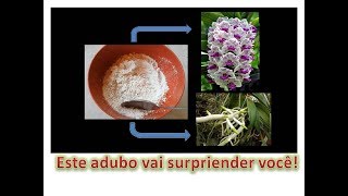 Adubo MÁGICO para orquídeas [upl. by Aerda]