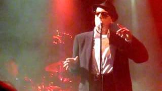 Alain Bashung  Volontaire  Live Elysée Montmarte Paris COMPLETE [upl. by Alfredo]